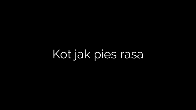 Kot jak pies rasa