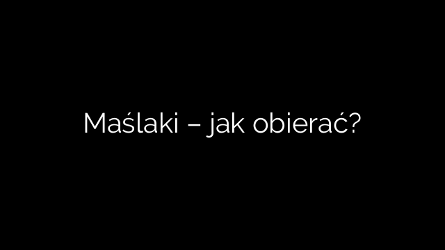 Maślaki – jak obierać?