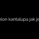 Melon kantalupa jak jeść