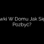 Mrówki W Domu Jak Się Ich Pozbyć?