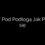 Myszy Pod Podłogą Jak Pozbyć się