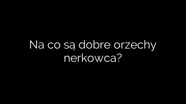 Na co są dobre orzechy nerkowca?