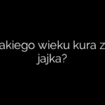 Od jakiego wieku kura znosi jajka?