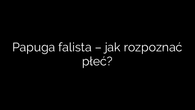 Papuga falista – jak rozpoznać płeć?
