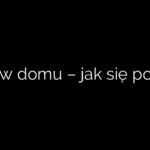 Pleśń w domu – jak się pozbyć?