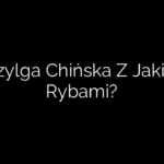 Przylga Chińska Z Jakimi Rybami?