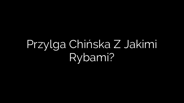 Przylga Chińska Z Jakimi Rybami?