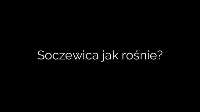 Soczewica jak rośnie?