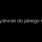 Sos myśliwski do jakiego mięsa?