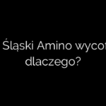 Żurek Śląski Amino wycofany – dlaczego?
