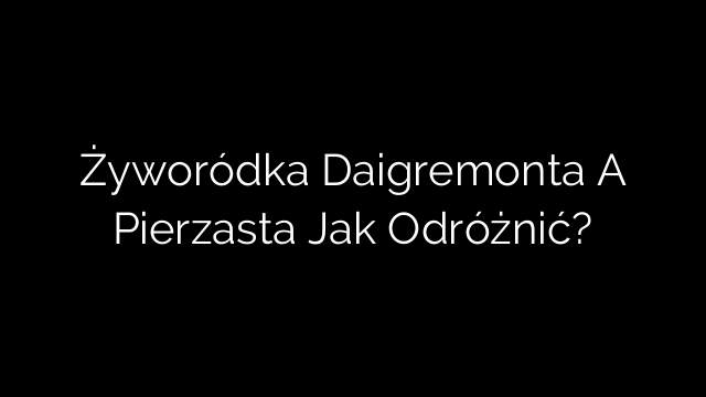 Żyworódka Daigremonta A Pierzasta Jak Odróżnić?